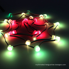 APA102C waterproof addressable decorative outfit led pxiel digital led module string lights 5v led string